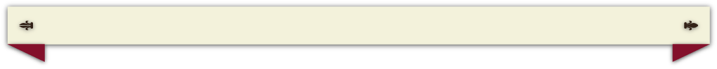 Nannini Group